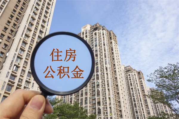 湛江外地人公积金提出（广东湛江公积金提取）